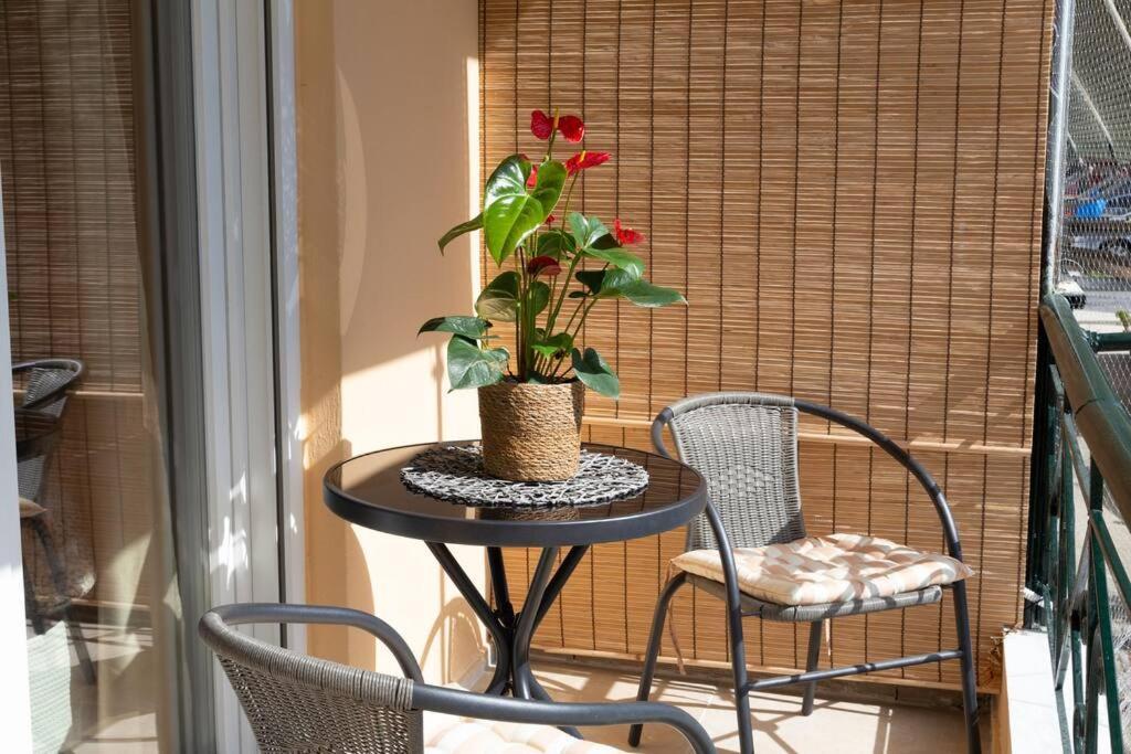 Afrodite'S Cosy And Lovely Apartment Alepou Bagian luar foto